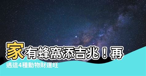 家裡有蜂窩代表|【家裡長蜂窩】家裡長蜂窩預示什麼風水？教你最快找到救兵！這。